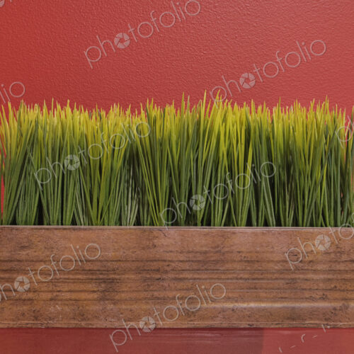 Grass in plant trough on glass table.