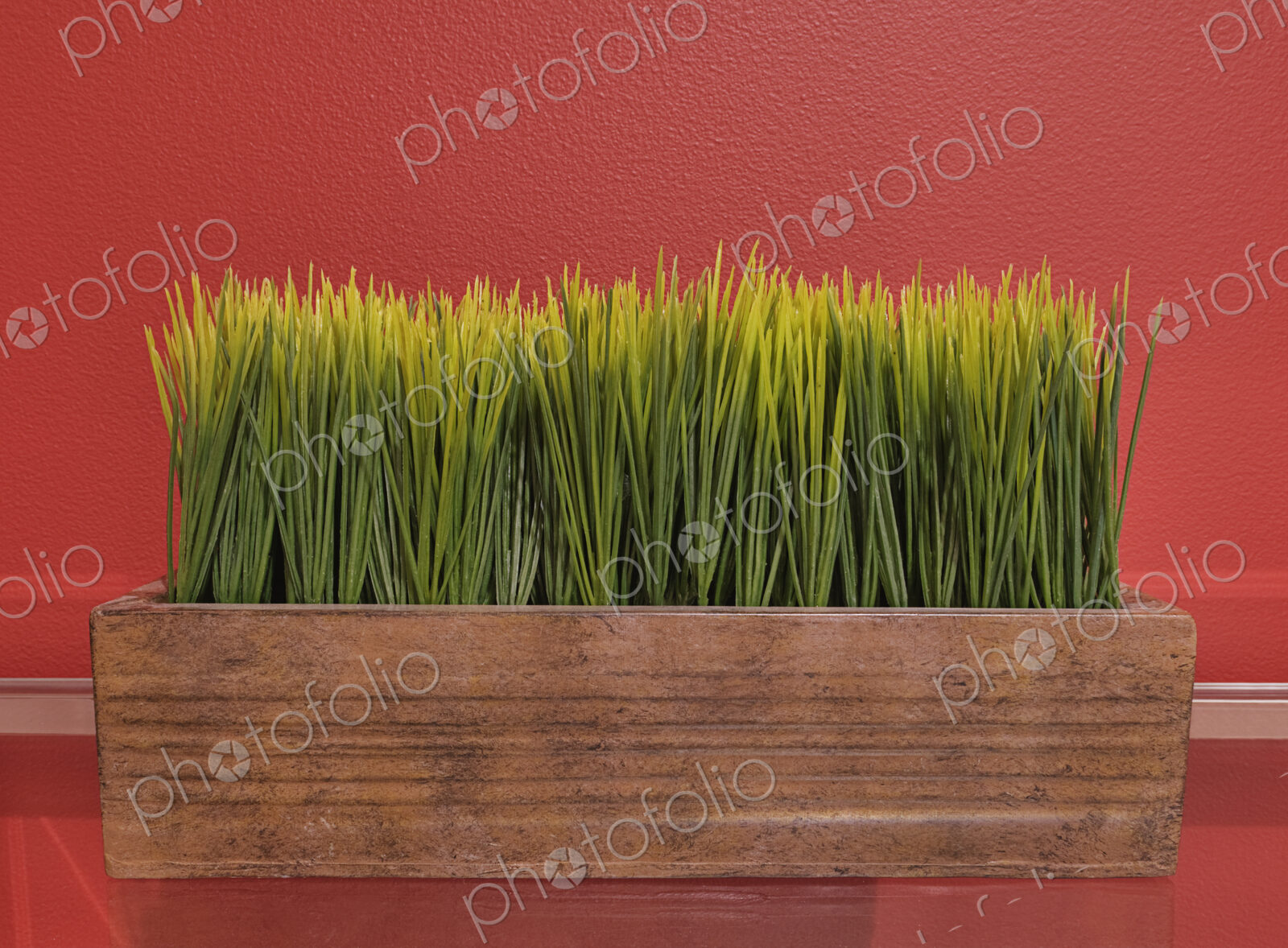 Grass in plant trough on glass table.