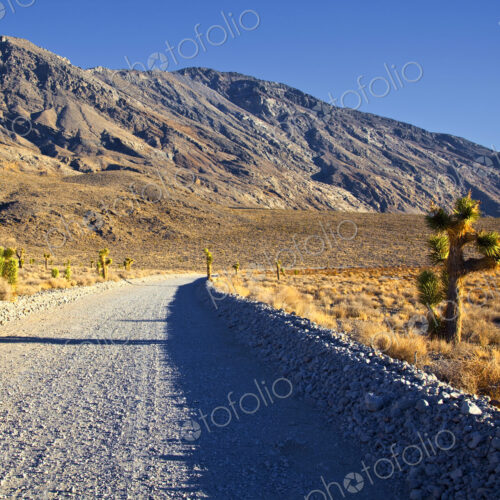 Gravel Road in Desert