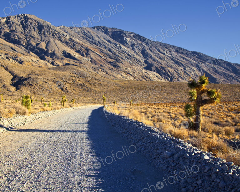 Gravel Road in Desert