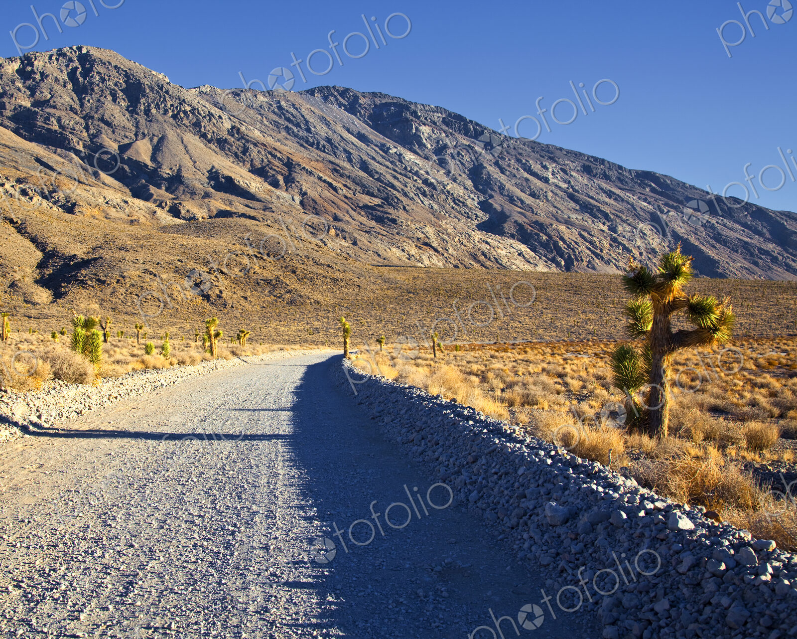 Gravel Road in Desert