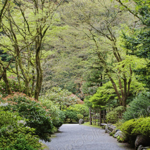 Gravel walkway in Japanese Garden, Portland, Oregon, United States Gravel walkway in Japanese Garden, Portland, Oregon, United States