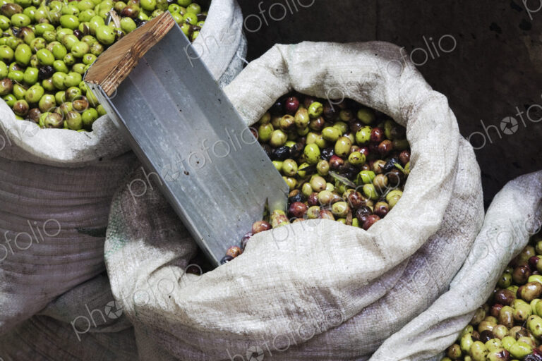 Green Olives for Sale