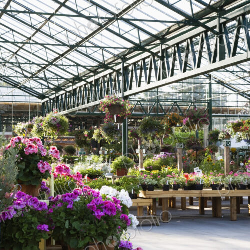 Greenhouse Greenhouse