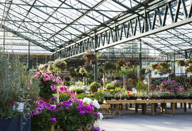 Greenhouse