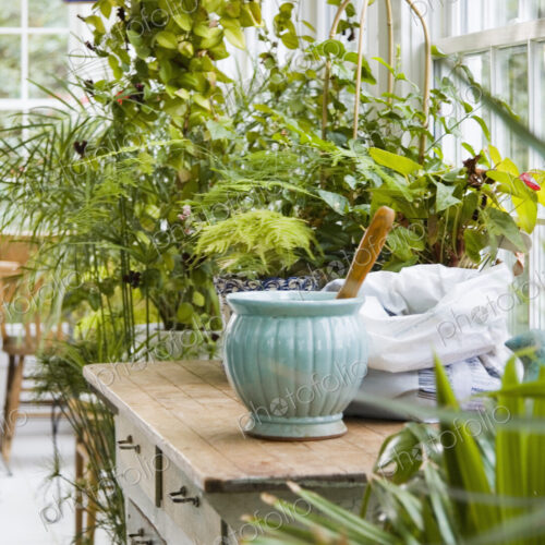 Greenhouse Interior Greenhouse Interior