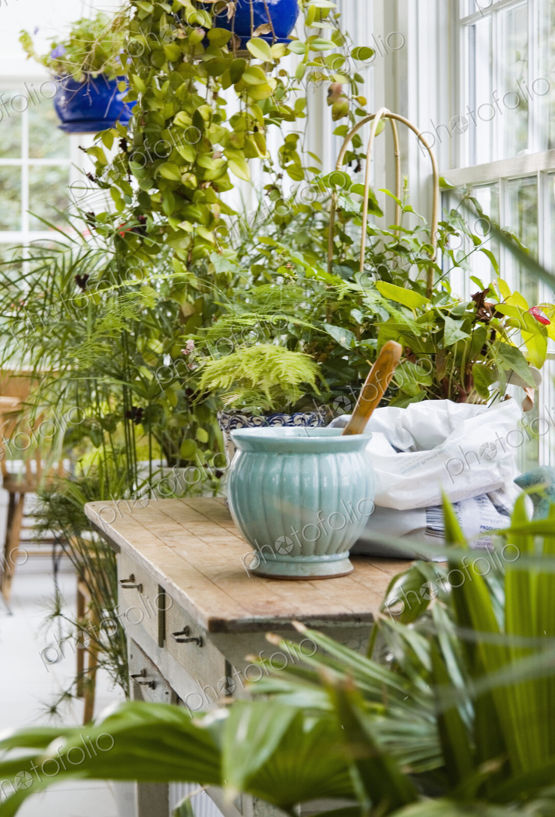 Greenhouse Interior