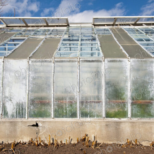 Greenhouse in Public Park Greenhouse in Public Park