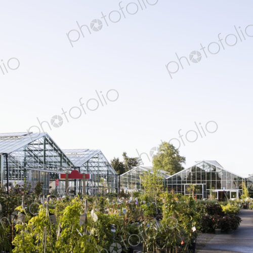 Greenhouses