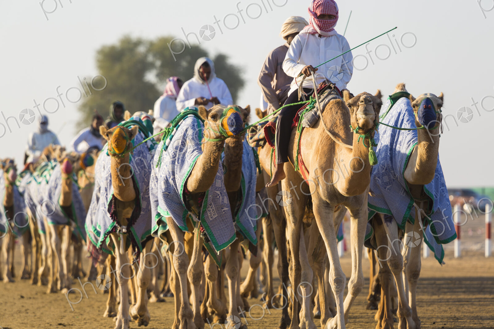 Group of men riding on camels along a dusty road.