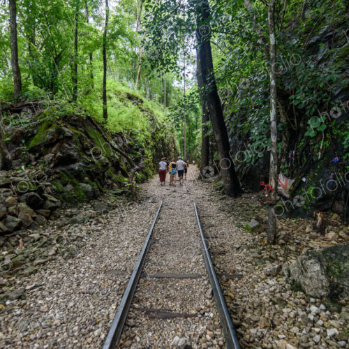 Group of people walking along railroad tracks in a forest in Bangkok. Group of people walking along railroad tracks in a forest in Bangkok.