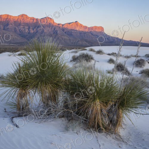 Guadalupe Mountains NP, Dell City, Texas,