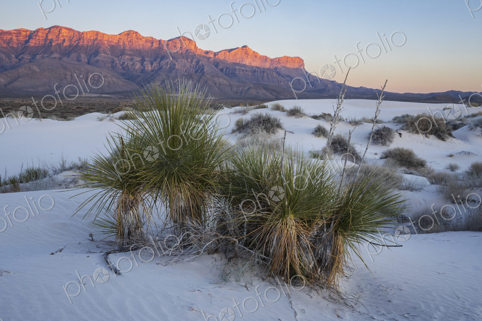 Guadalupe Mountains NP, Dell City, Texas,