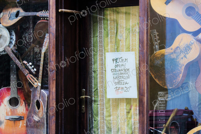 Guitar Shop