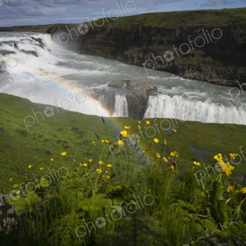 Gullfoss with rainbow and flowers