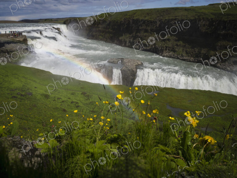 Gullfoss with rainbow and flowers