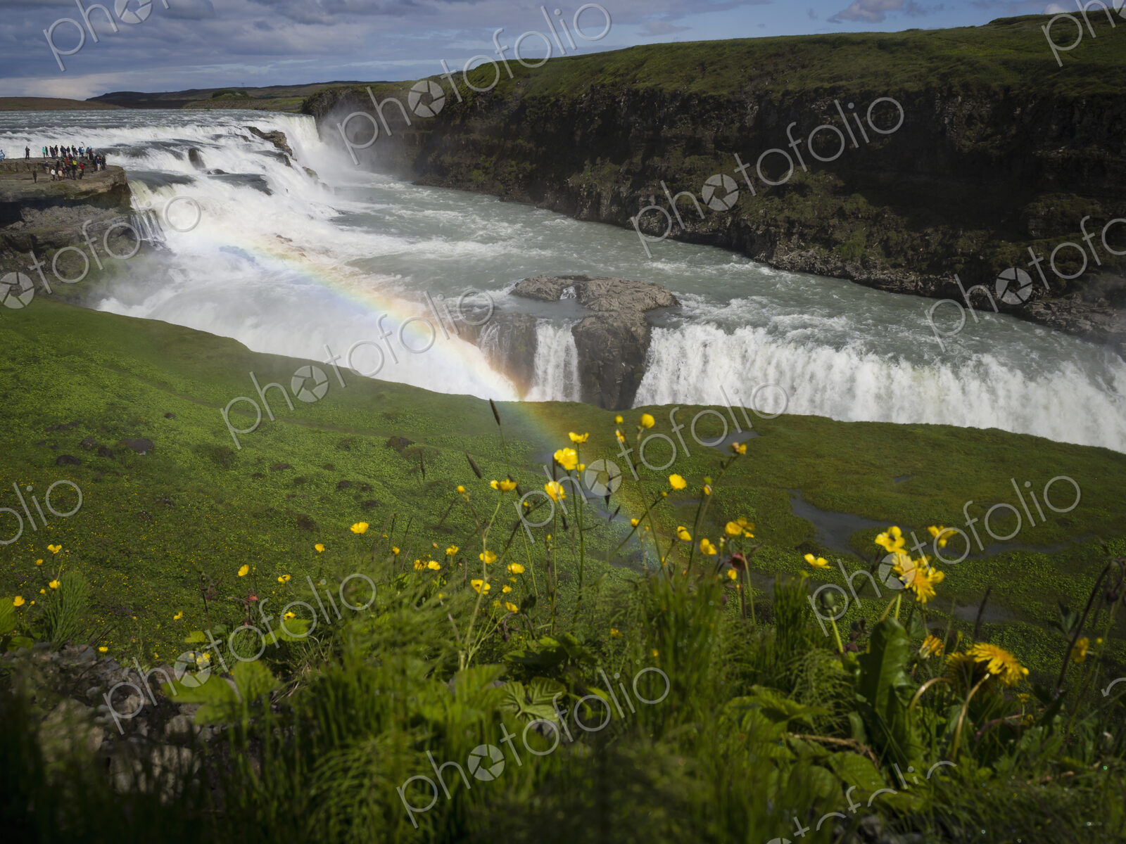 Gullfoss with rainbow and flowers