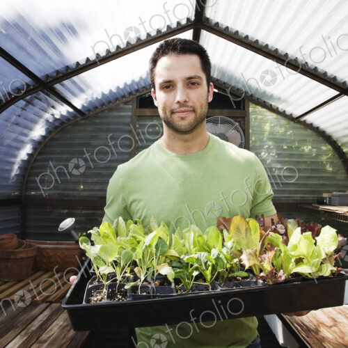 HIspanic man with new plants for the greenhouse.