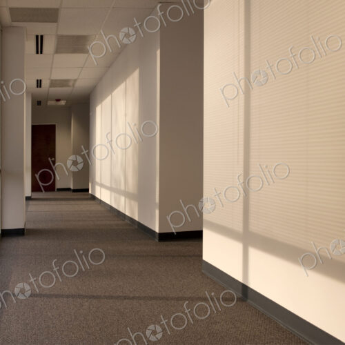 Hallway of an office building, sunlight coming through miniblinds.