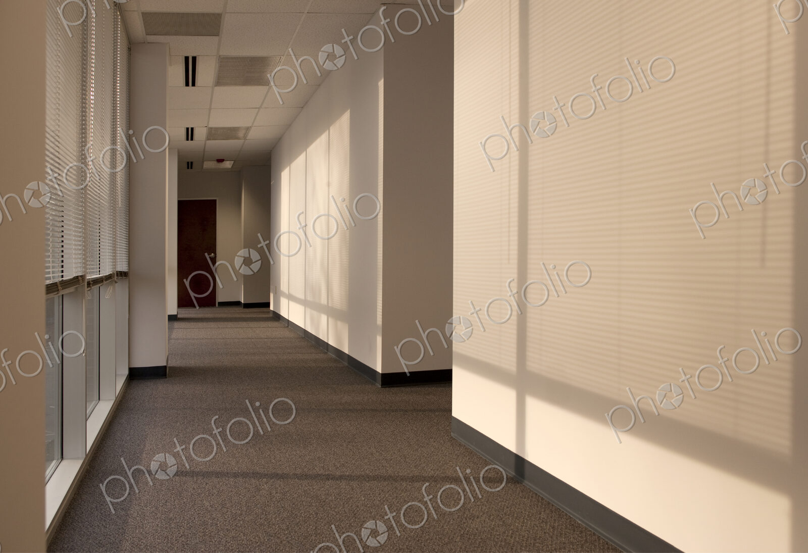 Hallway of an office building, sunlight coming through miniblinds.
