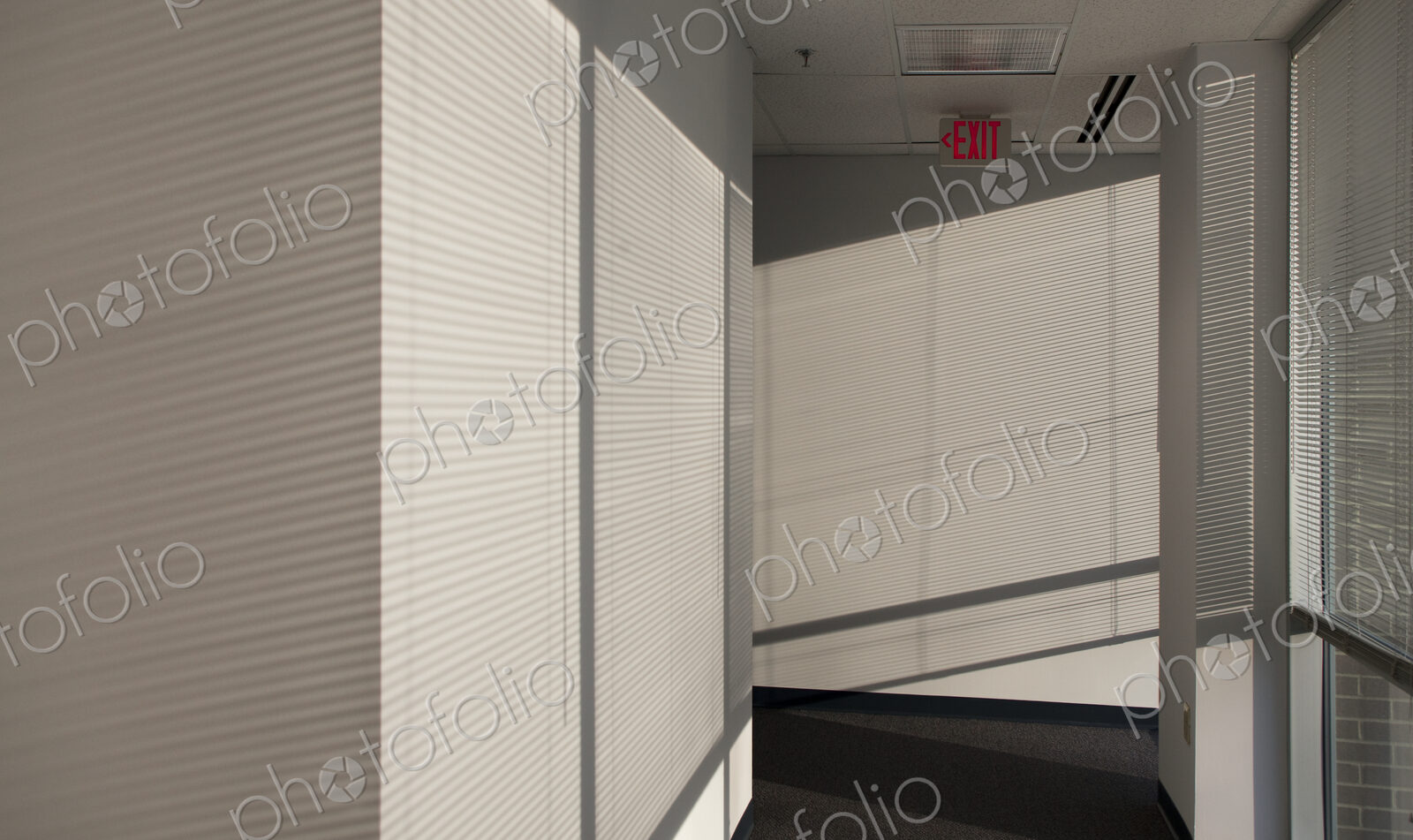 Hallway of an office building, sunlight coming through miniblinds.