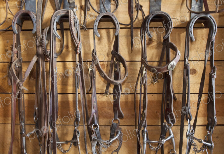 Halters in a Tack Room