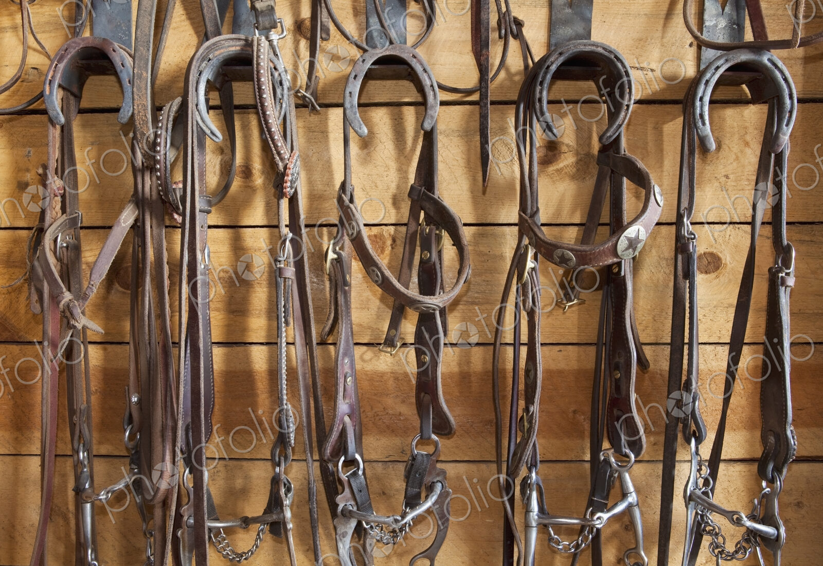 Halters in a Tack Room