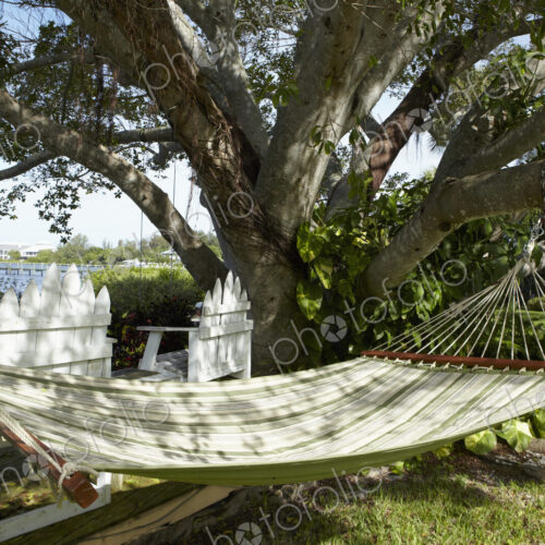 Hammock Under a Tree Hammock Under a Tree