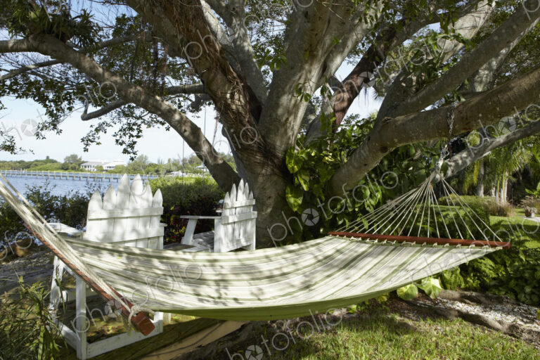 Hammock Under a Tree
