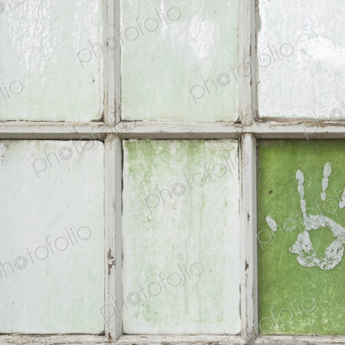 Hand Print on a Greenhouse Windowpane Hand Print on a Greenhouse Windowpane