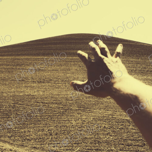 Hand extending towards plowed farmland, near Pullman Hand extending towards plowed farmland, near Pullman