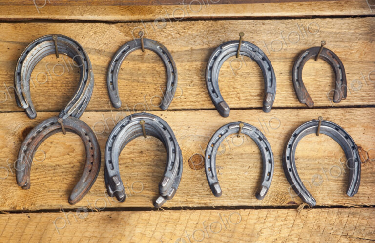Hanging Horseshoes