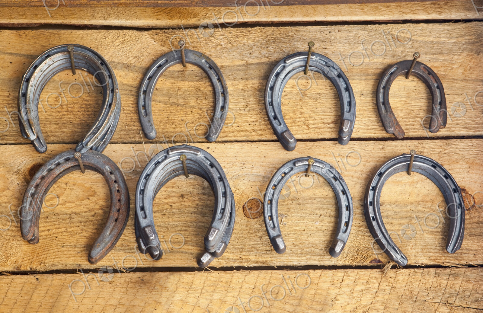 Hanging Horseshoes