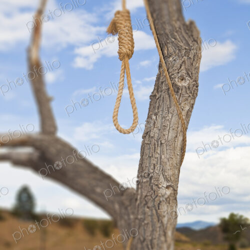 Hangman Noose in a Tree Hangman Noose in a Tree