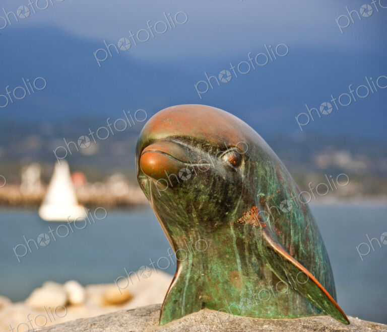 Harbor Dolphin Sculpture