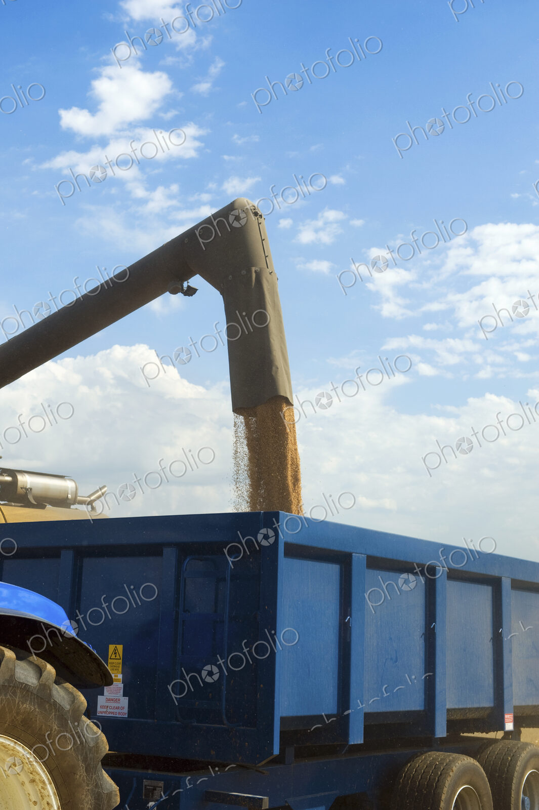 Harvested grain being loaded onto a trailer on a farm.