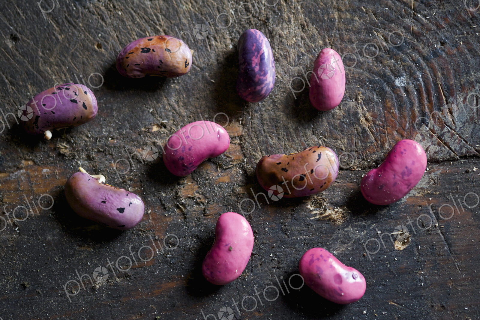 Harvested runner bean seeds, spaced out on a wooden surface, drying over winter.