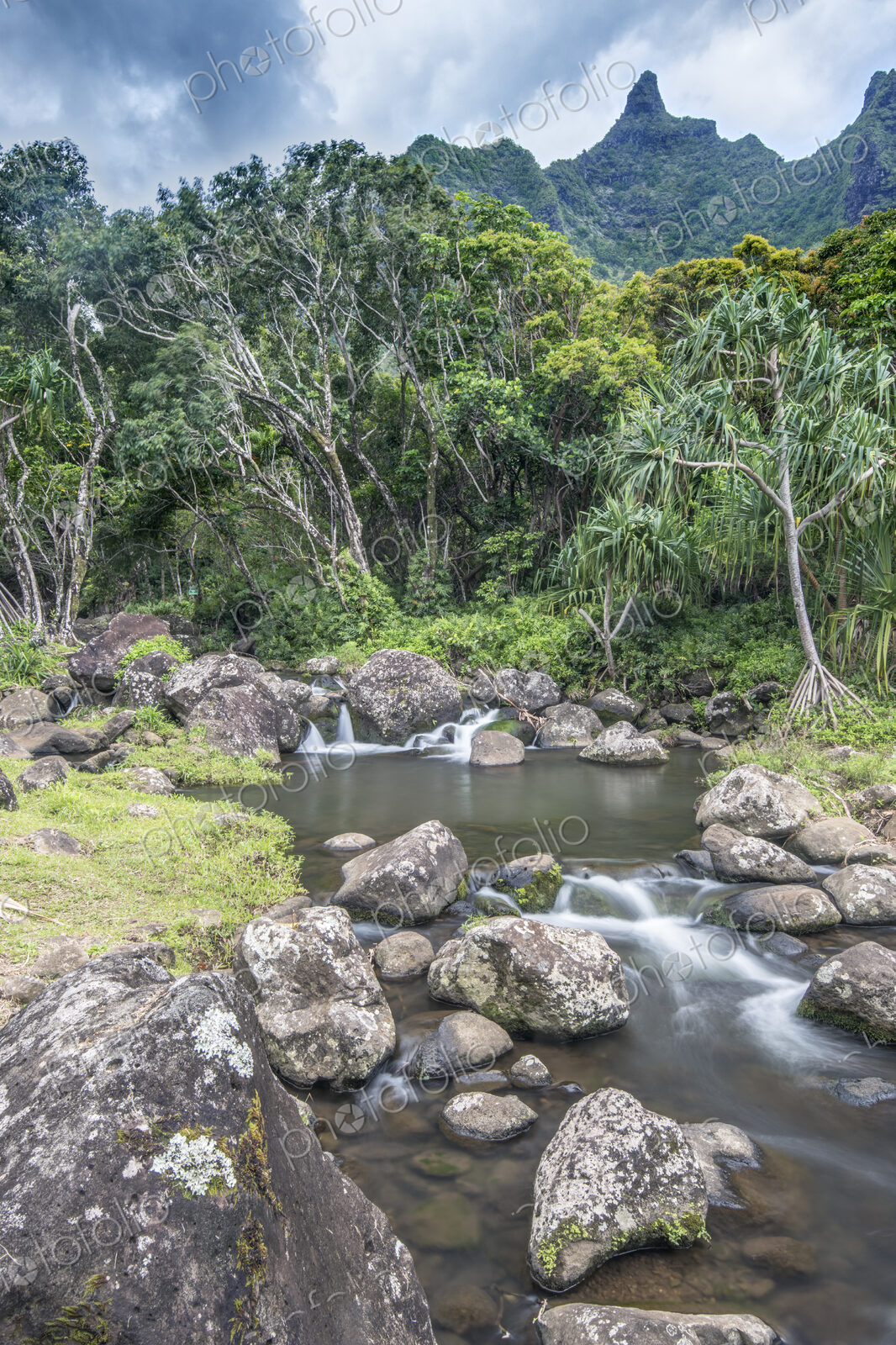 Hawaii, Kauai, Limahuli Garden and Preserve, water flowing over boulders, tall trees…