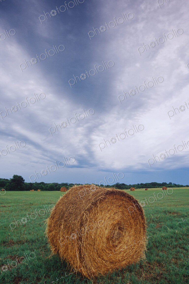 Hay Bale in Field