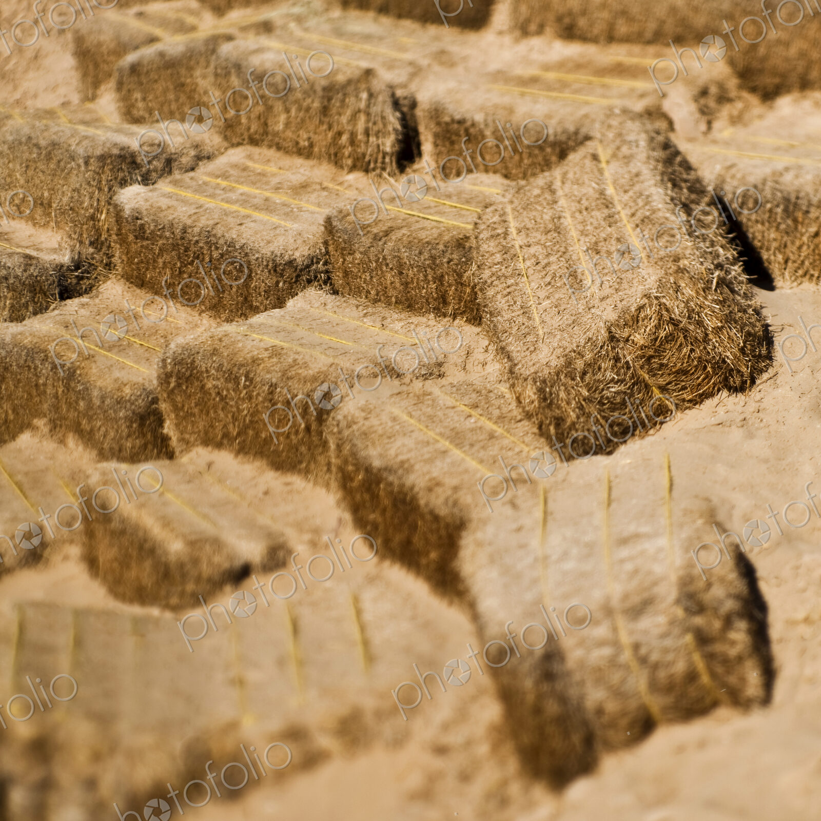 Hay Bales