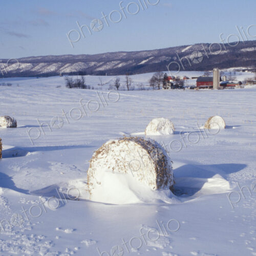 Hay Bales in Snow Covered Field Hay Bales in Snow Covered Field