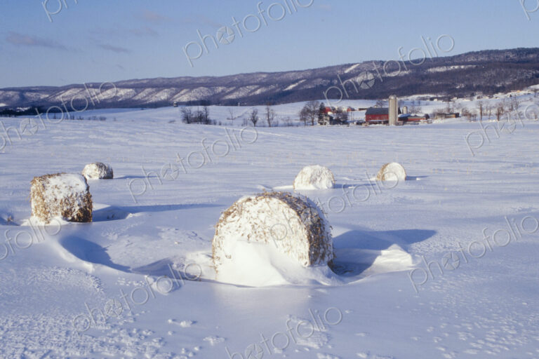 Hay Bales in Snow Covered Field