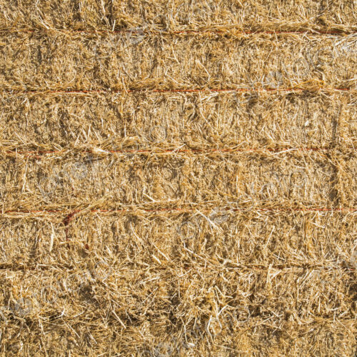 Hay bales stacked up. Dried grass and plant stalks, baled and packed tightly together. Hay bales stacked up. Dried grass and plant stalks, baled and packed tightly together.