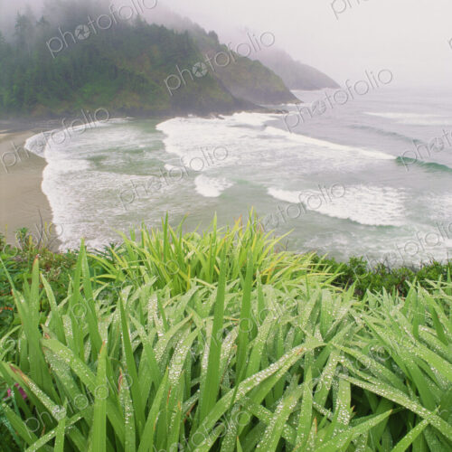 Heceta Head is a headland on the Pacific coastline of Oregon.