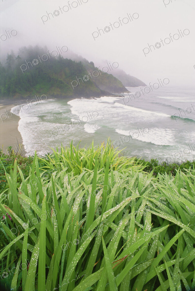 Heceta Head is a headland on the Pacific coastline of Oregon.