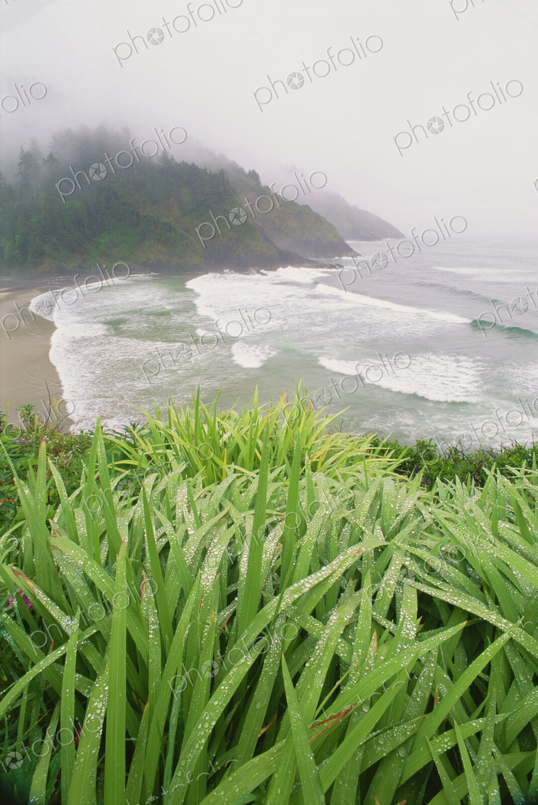 Heceta Head is a headland on the Pacific coastline of Oregon.