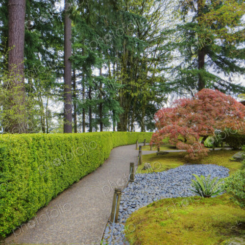 Hedges and walkway in Japanese Garden, Portland, Oregon, United States