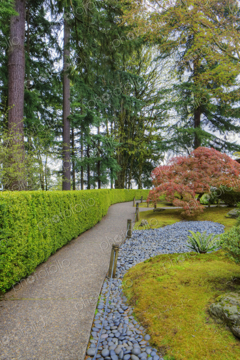 Hedges and walkway in Japanese Garden, Portland, Oregon, United States