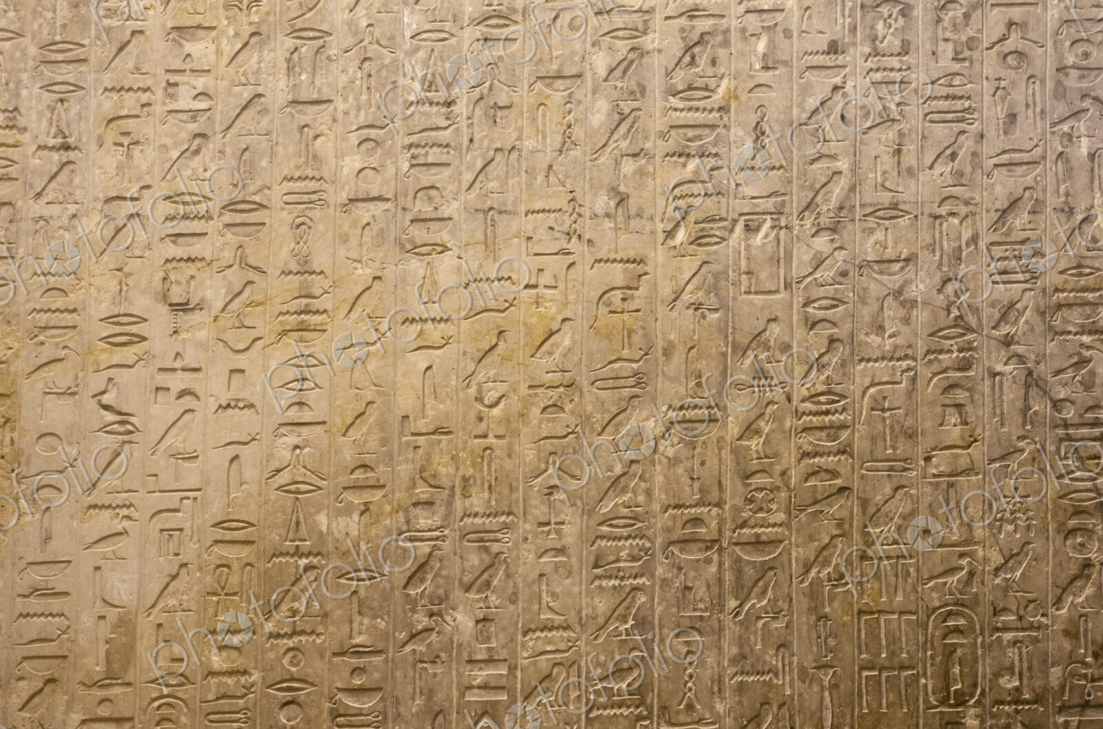 Hieroglyphics