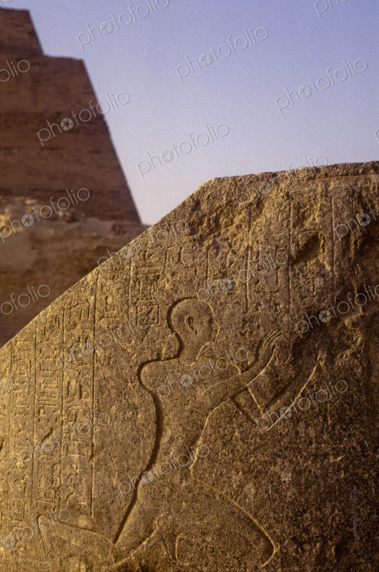 Hieroglyphs and Petroglyph at Meidum